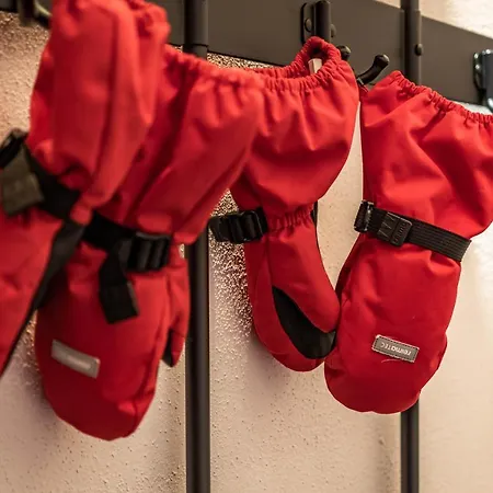 Alpendomizil Ahorn *