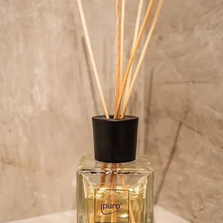 Apartment Alpendomizil Ahorn Mayrhofen