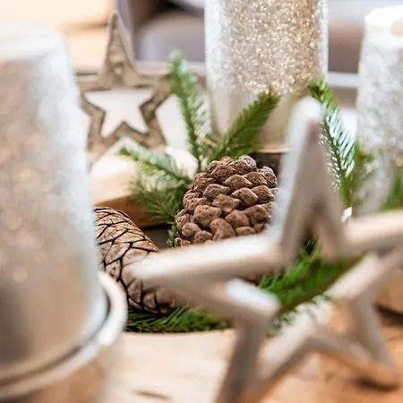 Alpendomizil Ahorn Apartment Mayrhofen