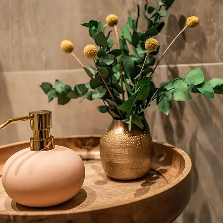 Apartment Alpendomizil Ahorn Mayrhofen