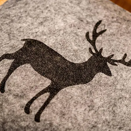 Alpendomizil Ahorn *