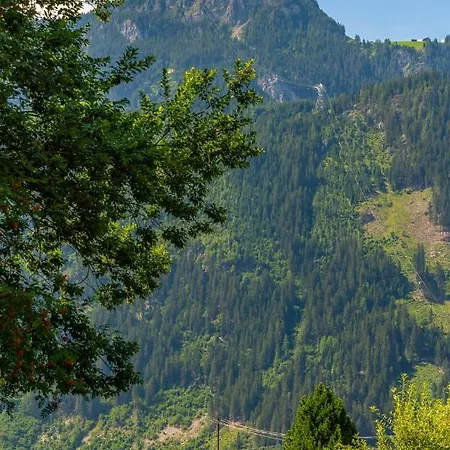 Appartement Alpendomizil Ahorn Mayrhofen